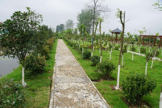 福建省生態環境廳、農業農村廳關于進一步加強農村生活污水治理工作的通知！